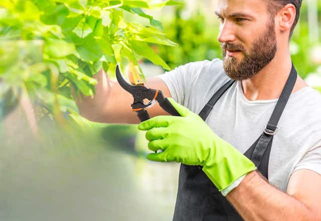 Heavy-Duty Pruning Shears, Just $15.95 on Amazon  card image