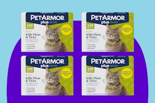 B00WWP1G40 Pet Armor Plus for Cats.png
