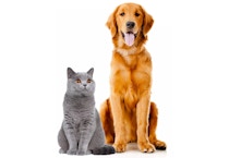 Simply Sensitivity Check Pet Testing