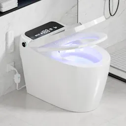 Smart Toilet with Bidet