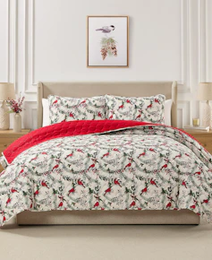 Quilt Set