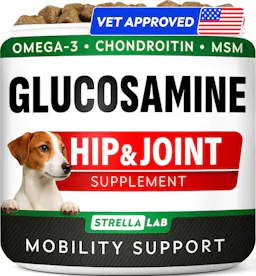 Glucosamine for Dogs