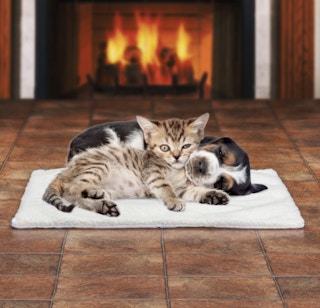Innovative Living Self-Heating Pet Pad