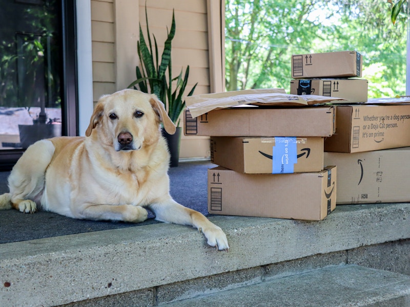 Amazon-prime-boxes-delivery-packages-porch-dog-pets-model-kcl-ms-13