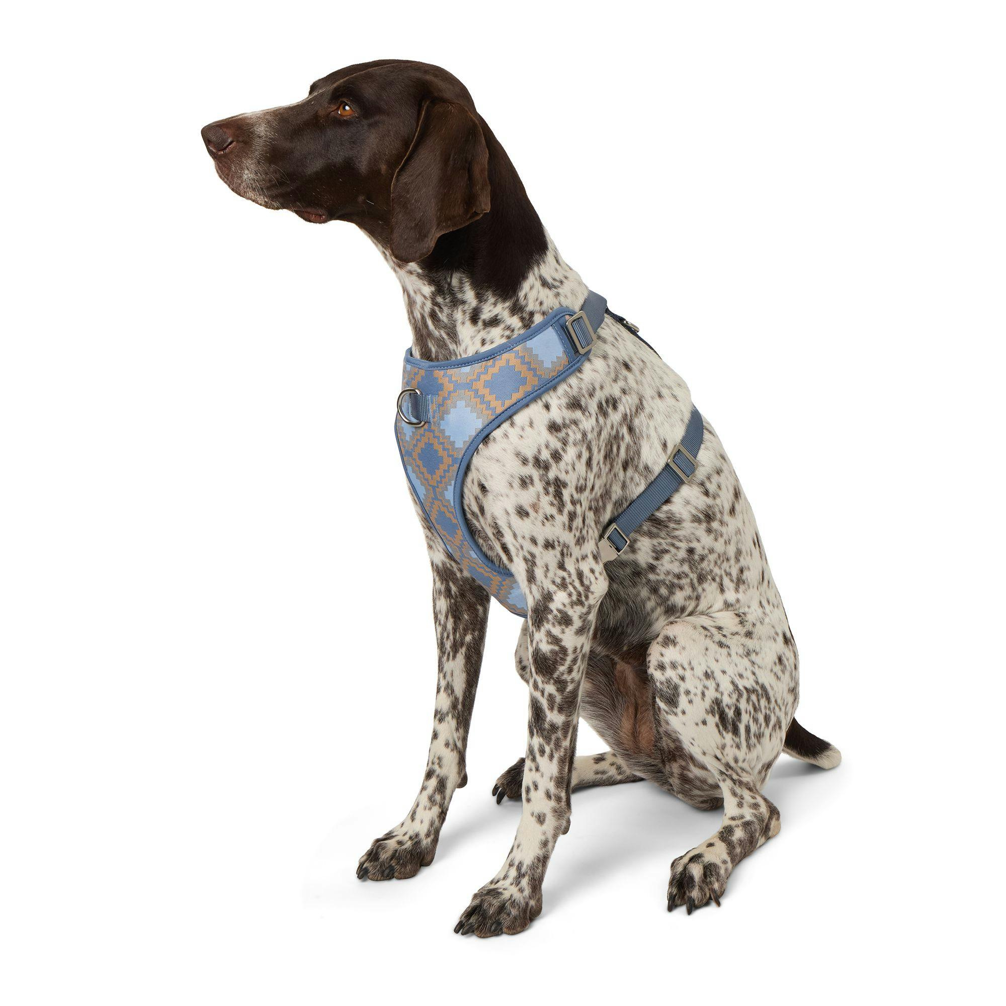 Adjustable Dog Harness