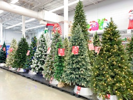walmart-christmas-tree-area-shot-2
