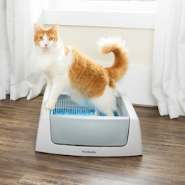 Self-Cleaning Litter Box, Only $99 at Walmart card image