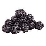 Organic Blackberries
