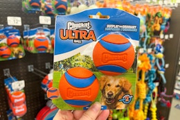 Chuckit Ball 2-Packs, as Low as $4.97 Each With Amazon Promotion card image