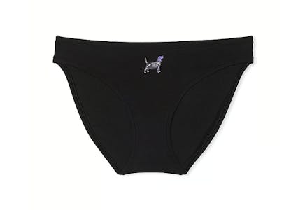 5 PINK Women's Bikini Panties