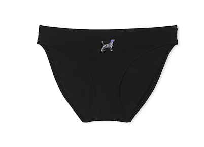 5 PINK Women's Bikini Panties
