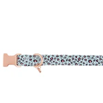 Dog Collar