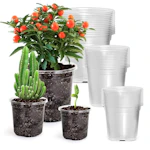Clear Nursery Pots