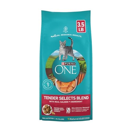 Purina ONE Dry Cat Food