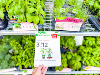 Lowes-Bonnie-plants-1