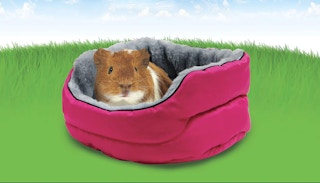 pink small pet bed with a guinea pig