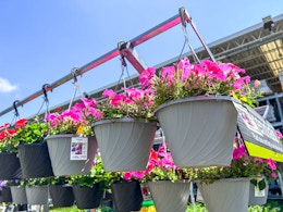 The Home Depot Memorial Day Sale Is Here: Flower Baskets, $2.50 Mulch, More card image