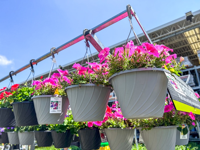 home-depot-hanging-baskets-kcl