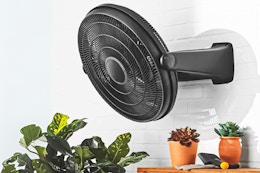 Score This Pelonis Floor and Wall Fan for $29 on Clearance at Walmart card image