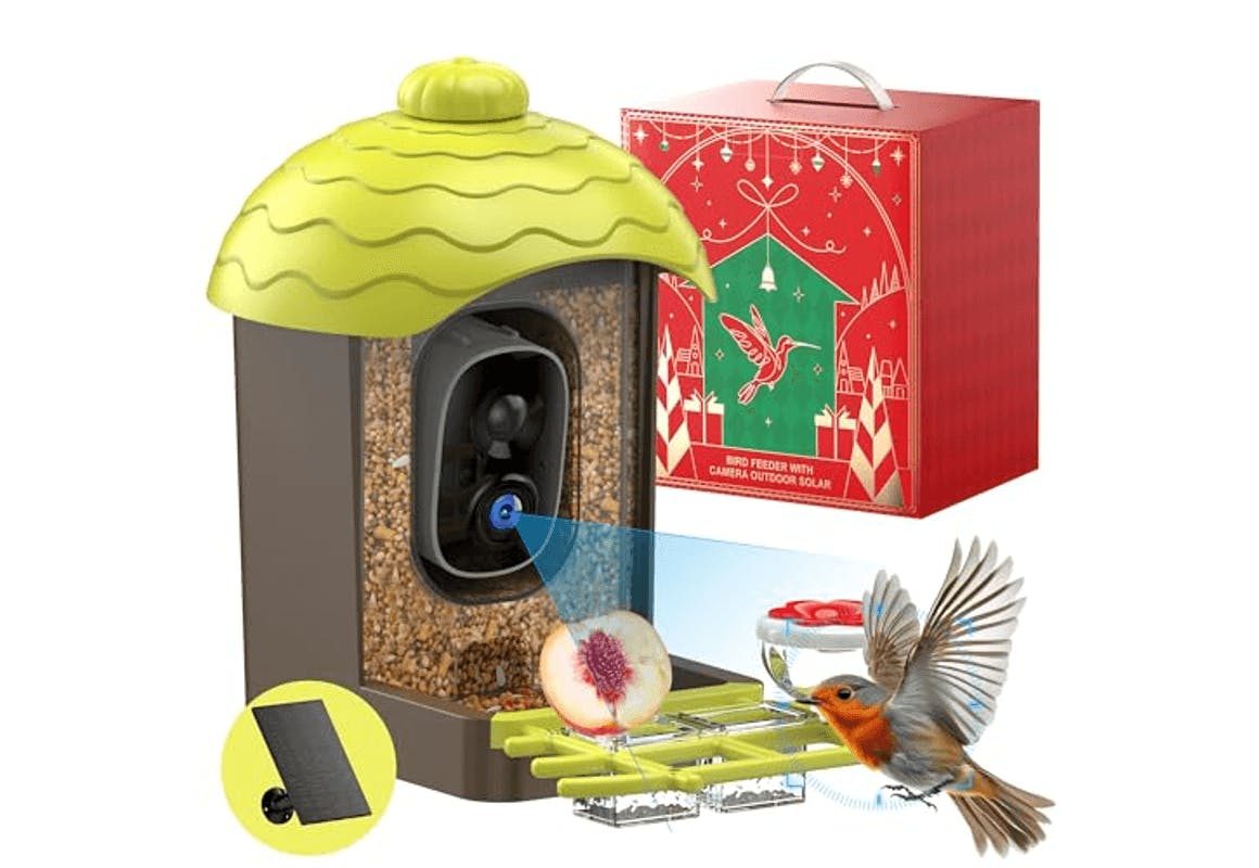 Smart Bird Feeder With Camera