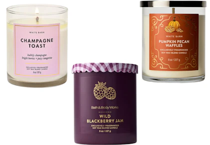 Bath & Body Works Single Wick Candle