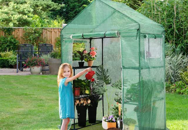 Walk-In Portable Greenhouse, Only $33.95 on Amazon card image