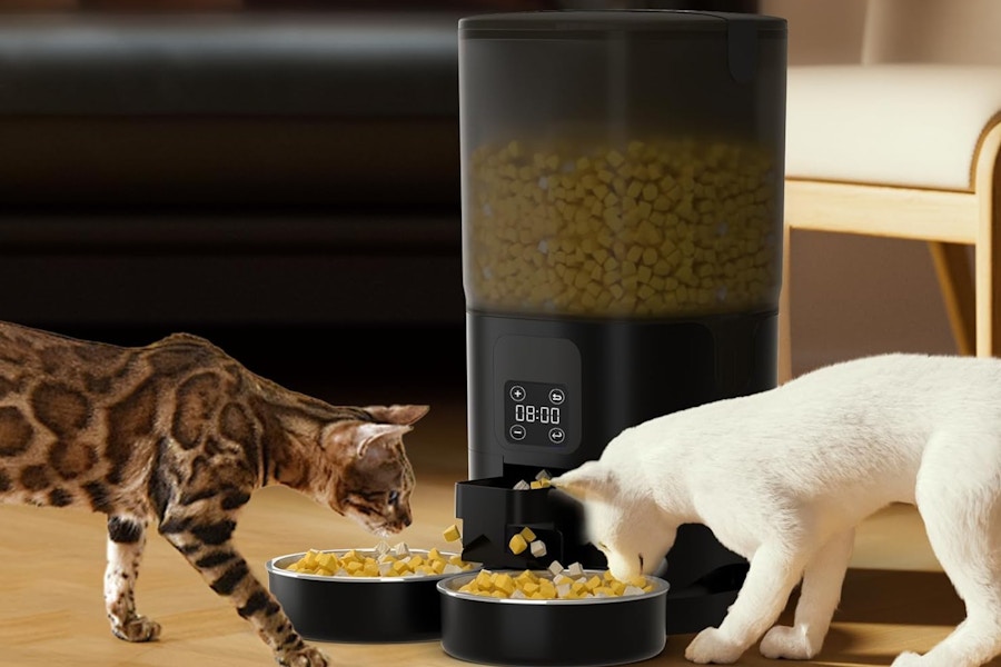 papifeed cat feeder