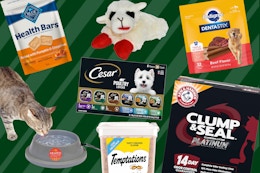 How I Save Big on Pet Food: Top Amazon Coupons for Blue Buffalo, Nutro, and More card image