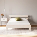 Queen Memory Foam Mattress