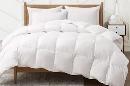 Goose Down Feather Comforter, as Low as $72 at Macy's (Reg. $226+) card image