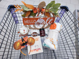 aldi finds in shopping cart