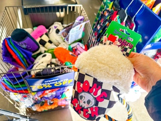 petco-halloween-clearance-dog-toys-1