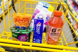 dollar general groceries in a shopping cart