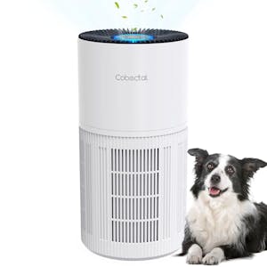 Large-Room Air Purifier