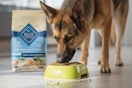 Blue Buffalo Life Protection Formula Puppy Dry Dog Food on a blue background.