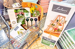 aldi-home-and-garden-deals-plant-ladder-planter-watering-globe-coir-mat-wreath