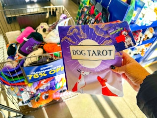 petco-halloween-clearance-dog-toys