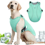 Dog Cooling Vest