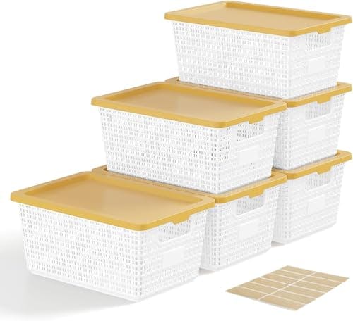 Storage Bins with Lids 6-Pack