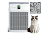 Whole-Home Air Purifier