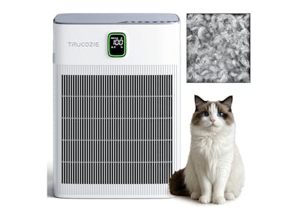 Whole Home Air Purifier