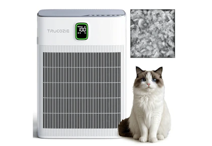 Whole-Home Air Purifier