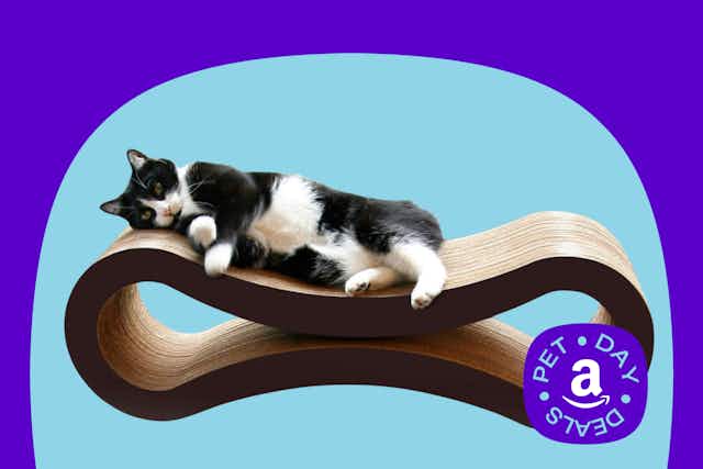 Cat Scratcher Lounge With 27K Reviews, Only $36 on Amazon (Reg. $55) card image