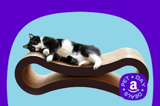 amazon cat scratcher lounge