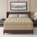 Queen Mattress