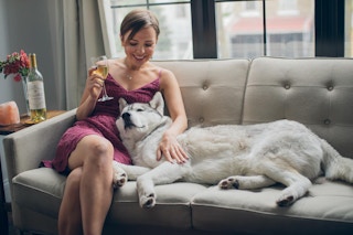 firstleaf2 1587665679 1587665679