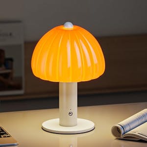 Glass Pumpkin Cordless Lamp