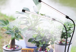 Plant Growing LED Light, Just $8.89 on Amazon card image