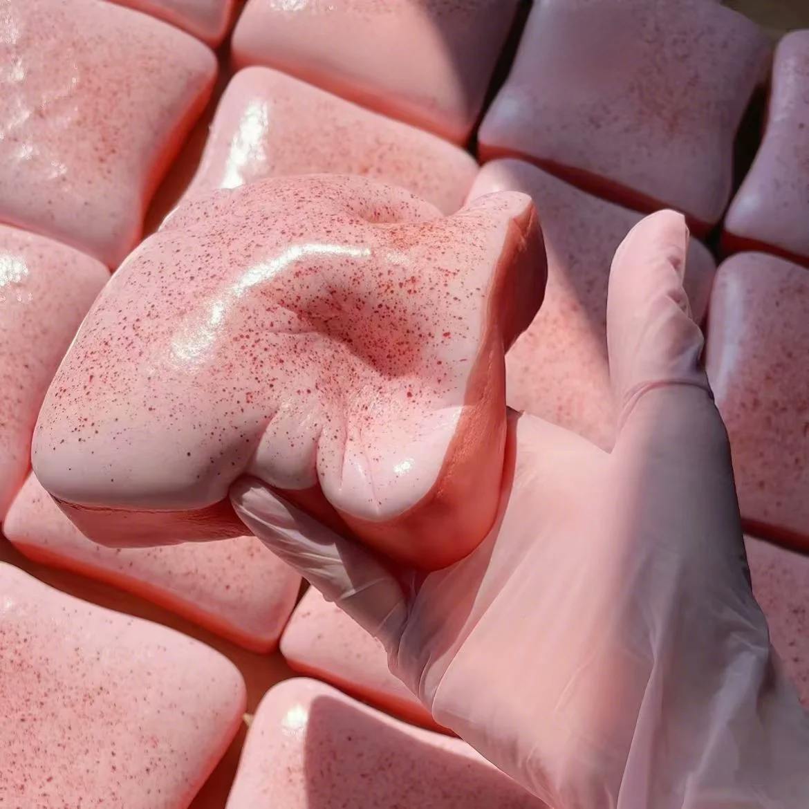 Squishy Toast Squeeze Toy