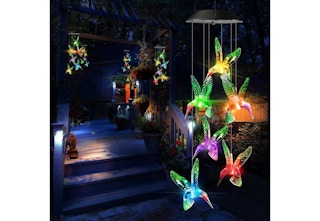 tanga-hummingbird-windchimes-feb-2023